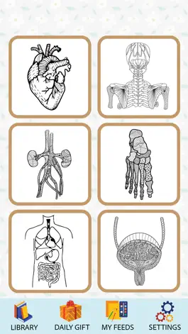 Game screenshot Anatomy Coloring Book. mod apk