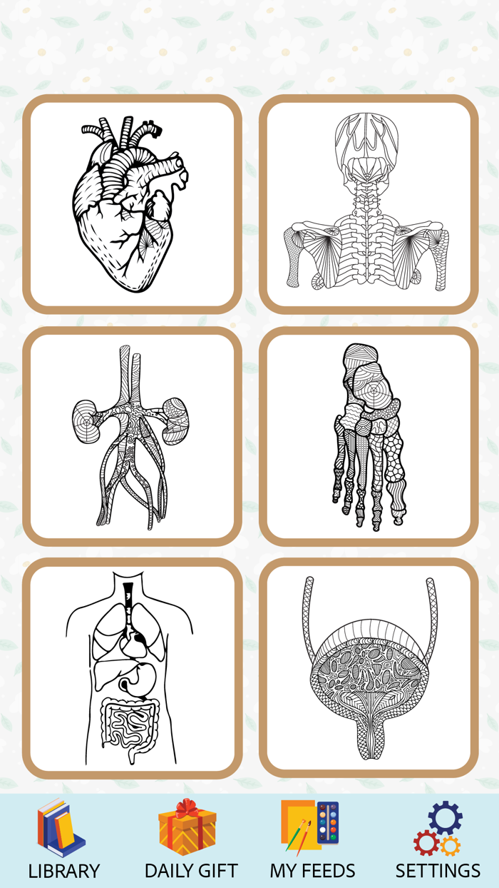 Anatomy Coloring Book.