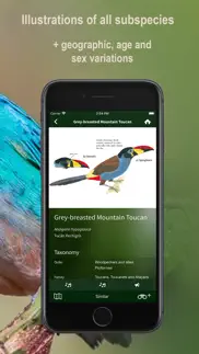 all birds northern peru iphone screenshot 4