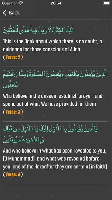 The Quran - Surahs and Verses Screenshot