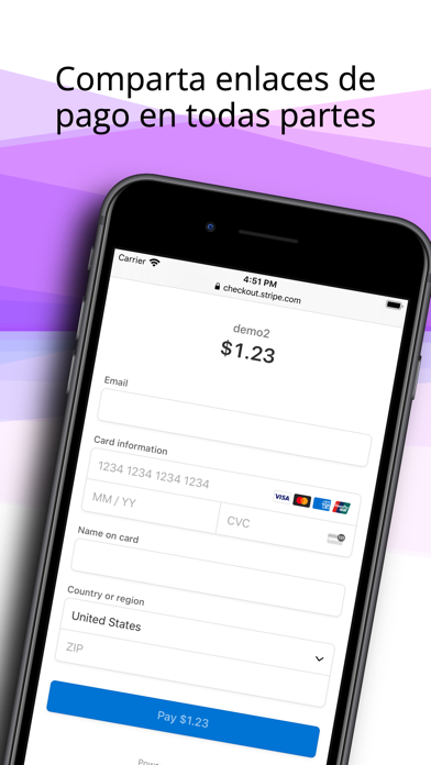 PaymentWiser - Stripe Pagos