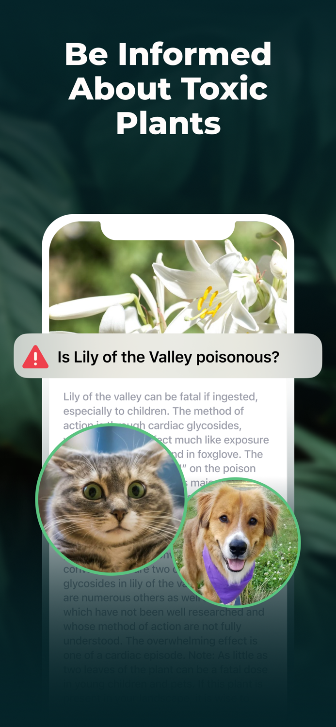 Plant Identifier - FREE of ads