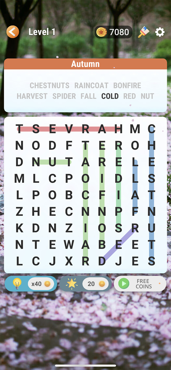 Word Search - Find Hidden Word