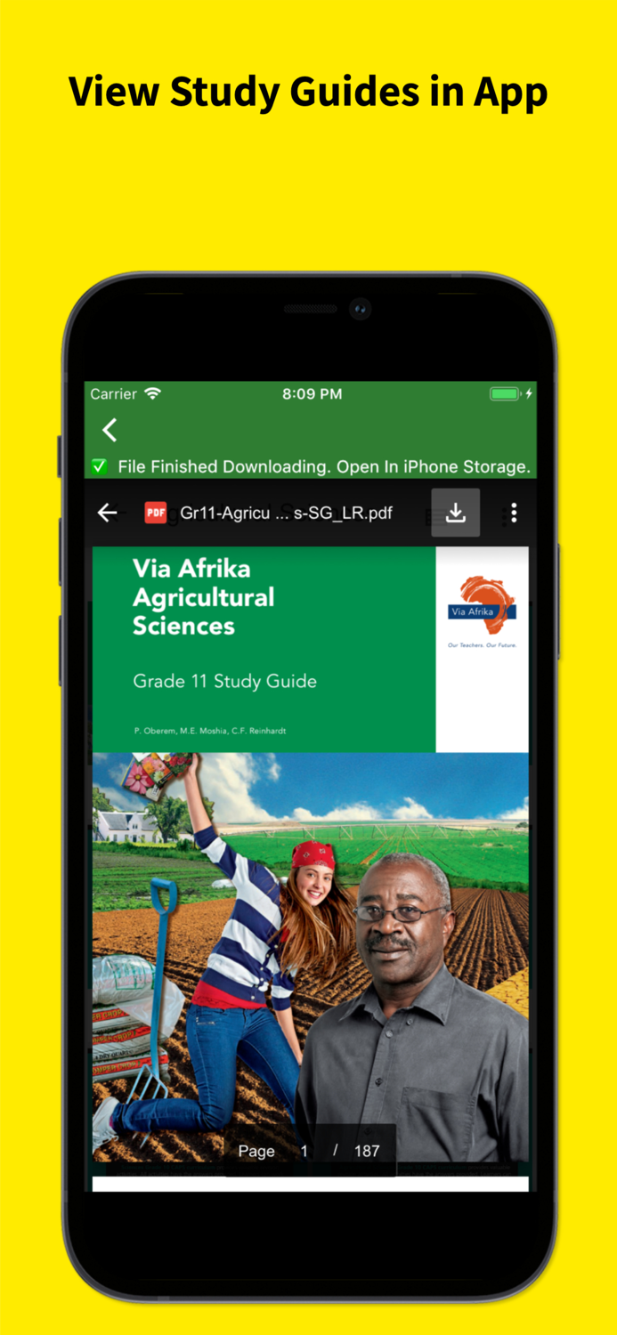 Grade 11 Exam Papers