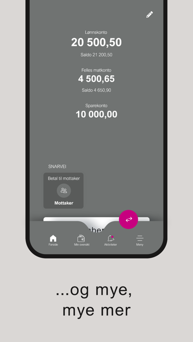 DIN Mobilbank Screenshot