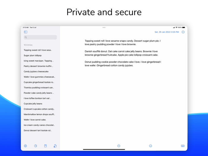 Jonal Private Journal and Diary