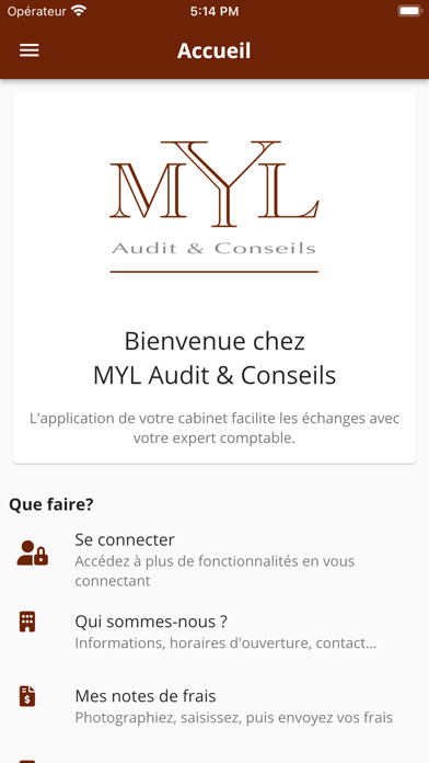 Screenshot #1 pour MYL Audit & Conseil