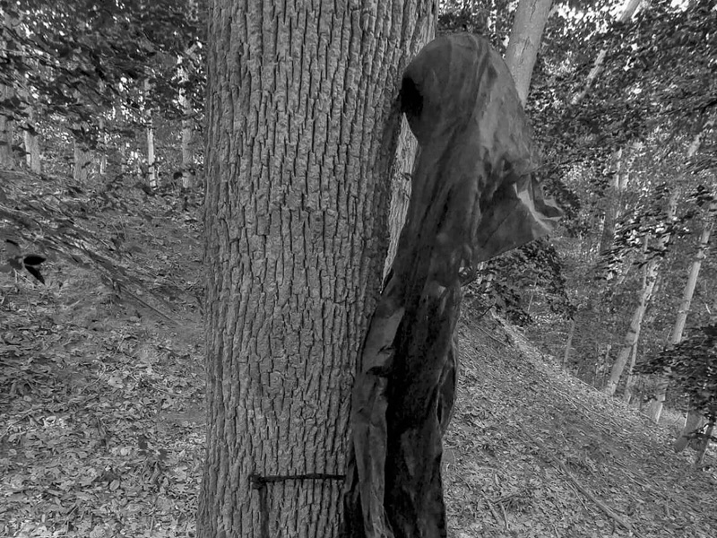 Wardwell House screenshot 8