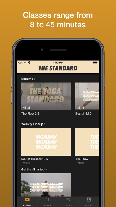 The Yoga Standard Screenshot