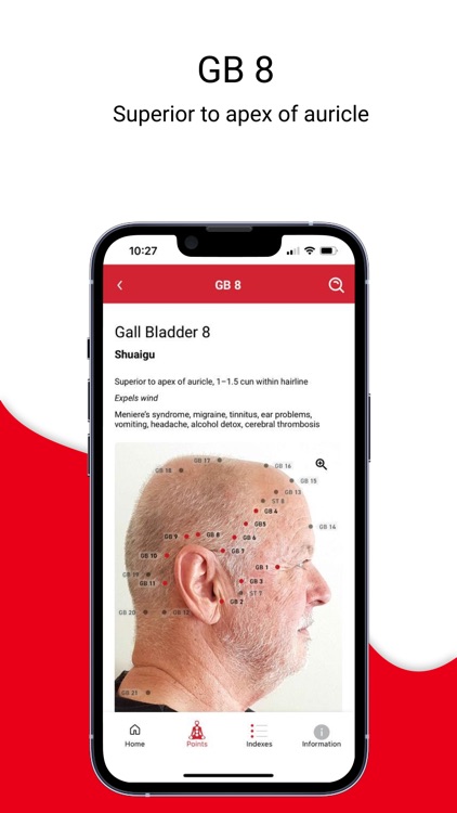 Main Acupuncture Points - MAP screenshot-7