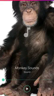 monkey sounds pro iphone screenshot 1