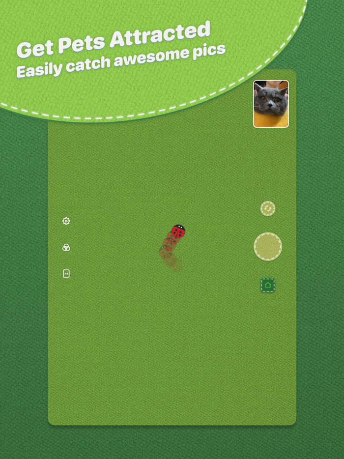 HeyPet Toy Cam for Pets