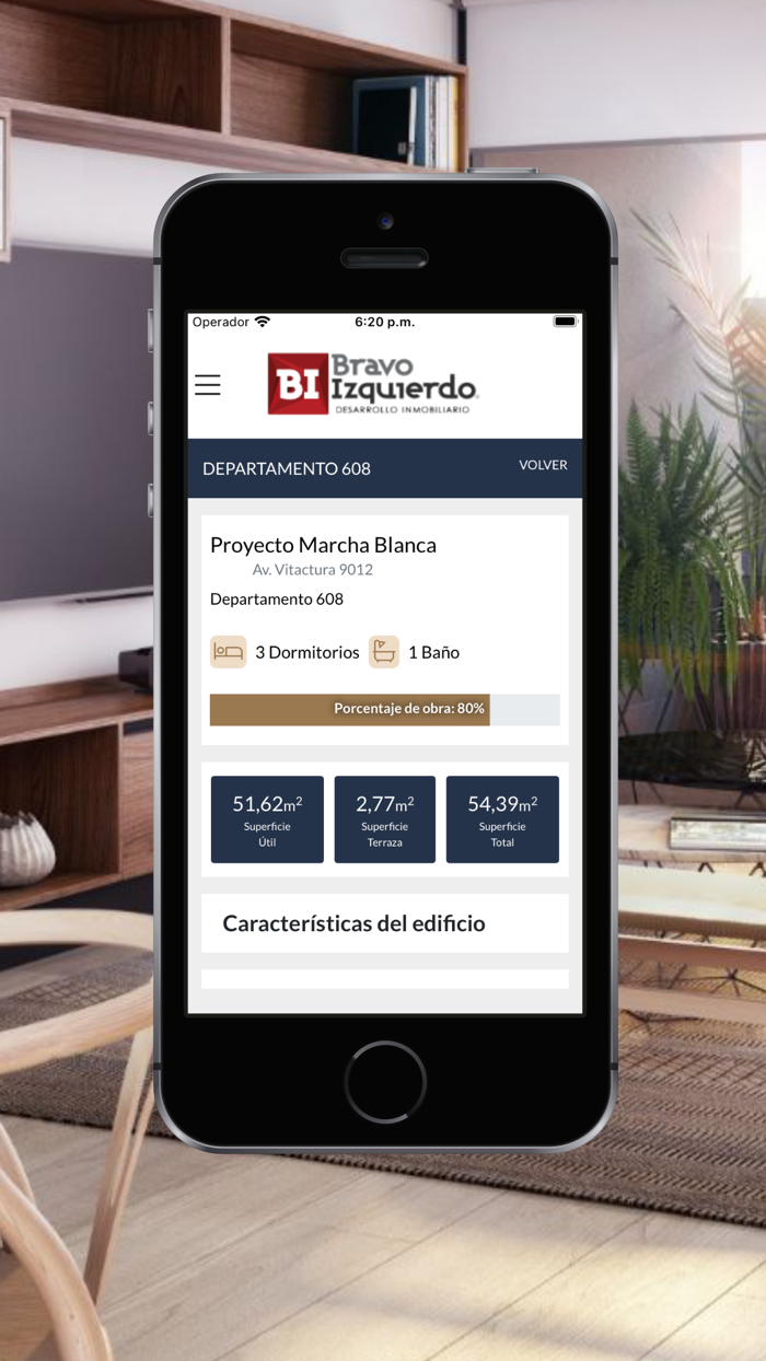 Bravo Izquierdo Inmobiliaria