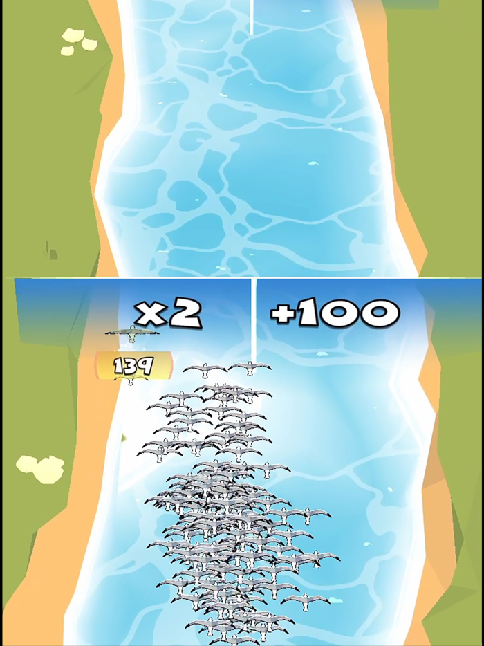 Dodgy Flyers - Birds Survival