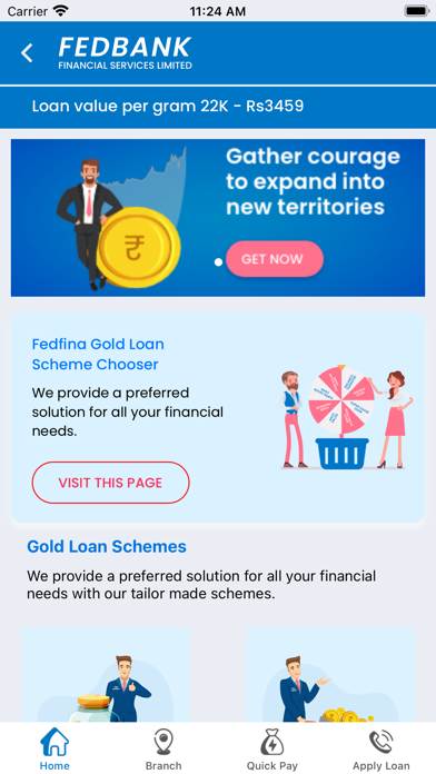 Fedfina Loans Screenshot
