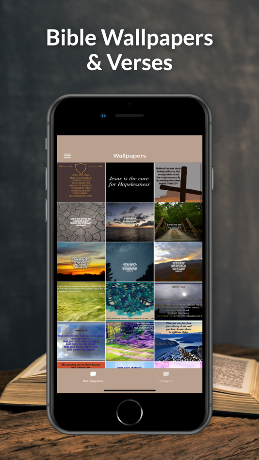 #4. Systematic Biblical Theology (iOS) 由: David Ortega Lopez