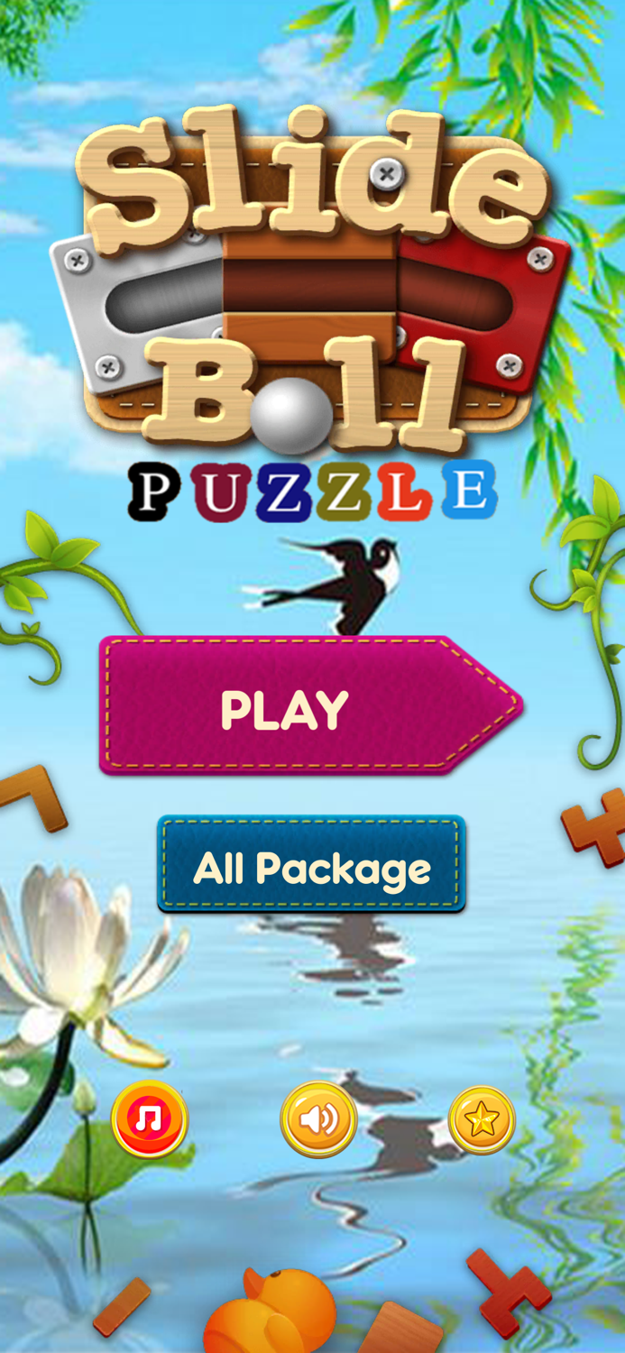 Slide the Ball Puzzle