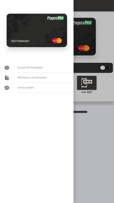 PagosPro Screenshot