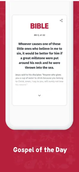 Game screenshot YOUCAT Daily Bible, Catechism hack