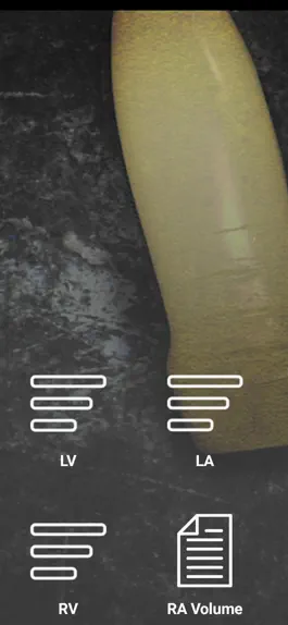Game screenshot Echocompanion apk