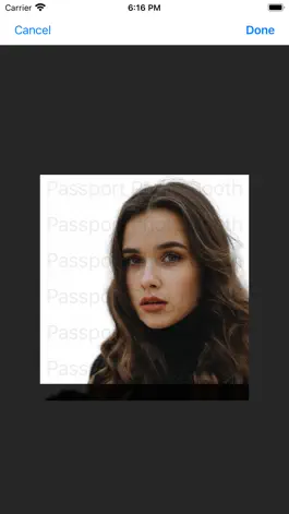 Game screenshot Photo Booth - Passport Photo hack