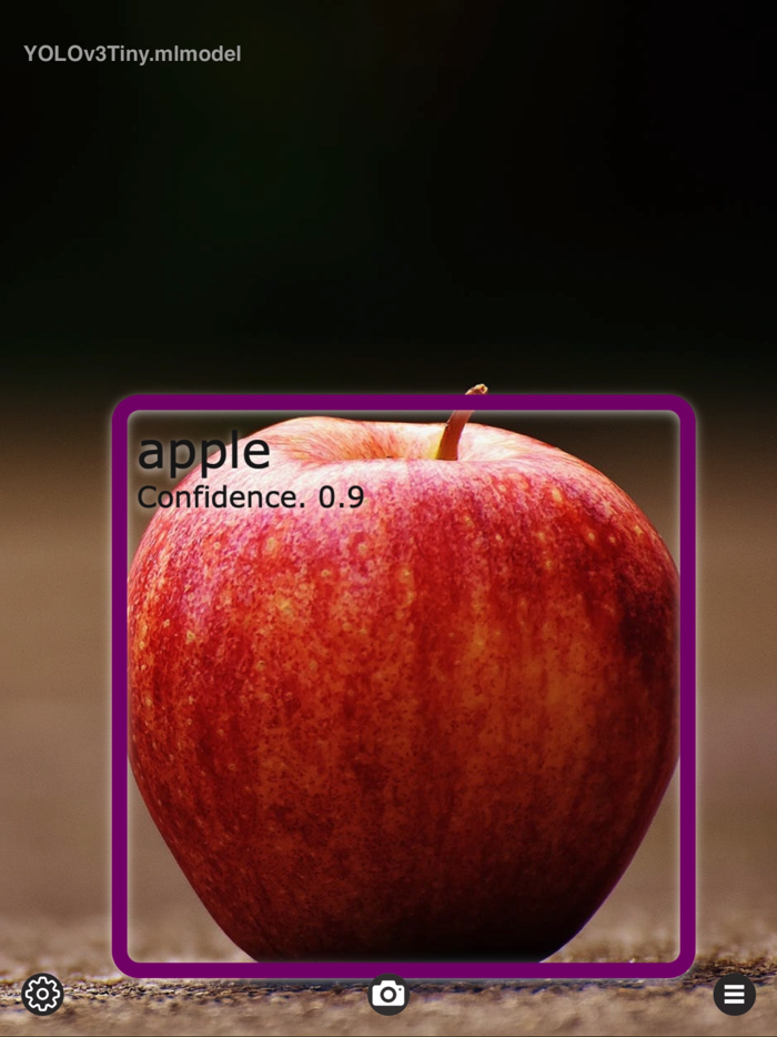 Object Detection Cam