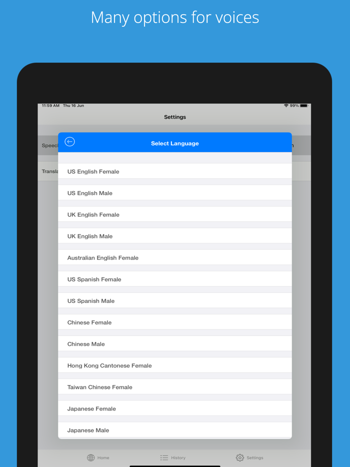 المترجم الصوتي