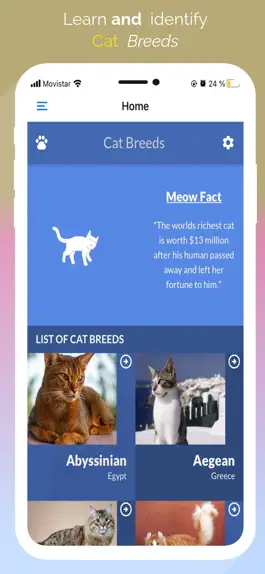 Game screenshot Cat Breeds guide and quiz mod apk