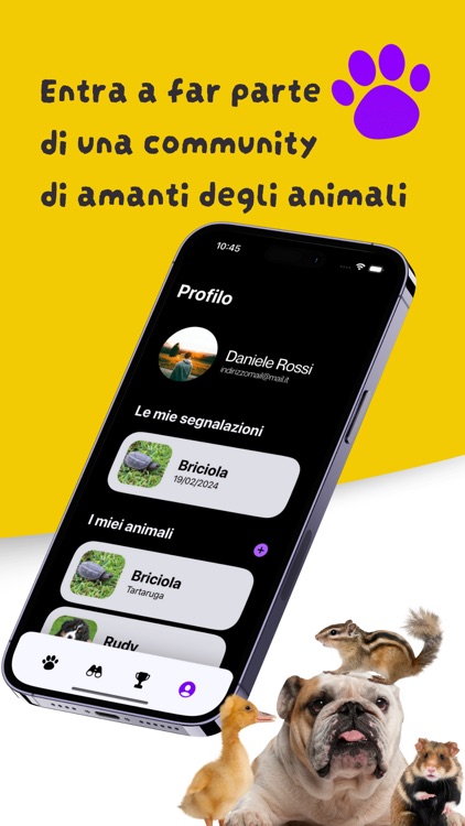 Pets - Animali smarriti