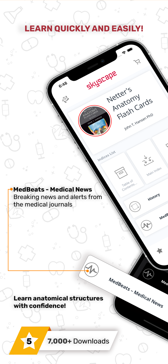 Netters Anatomy Flash Cards