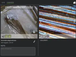 Game screenshot MicroCare hack