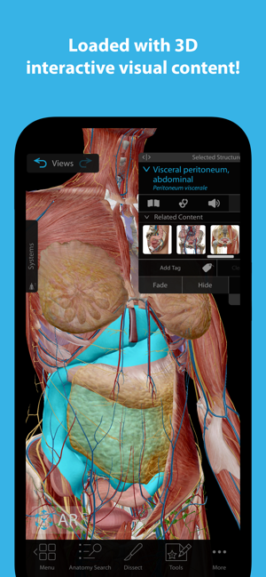 Human Anatomy Atlas 2024 -kuvakaappaus