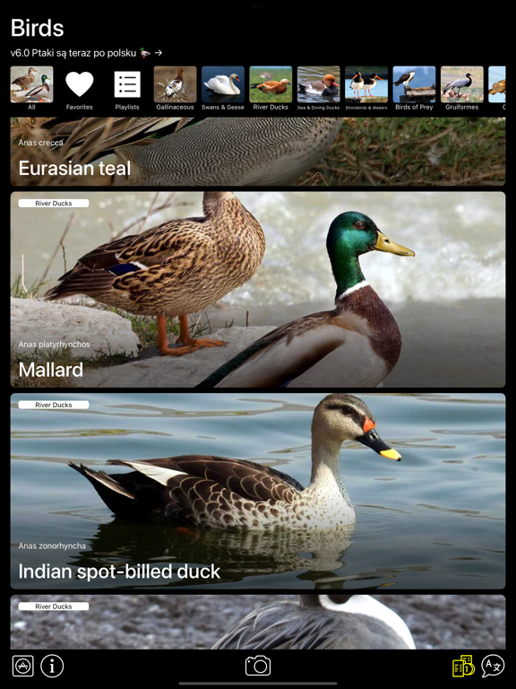 Screenshot #4 pour Appelants pour oiseaux