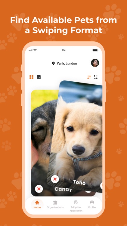 Lucky Paw screenshot-3