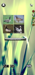 Duck Master: Duck ID Quiz Game screenshot #8 for iPhone