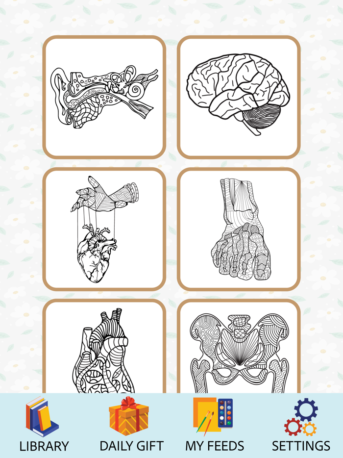 Anatomy Coloring Book.