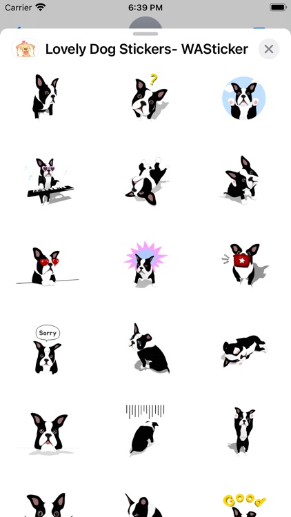 Lovely Dog Stickers- WASticker screenshot-6