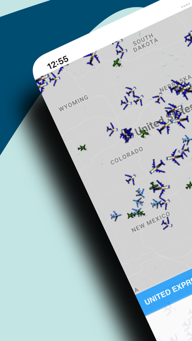 USA Flights: Flight Tracking Screenshot