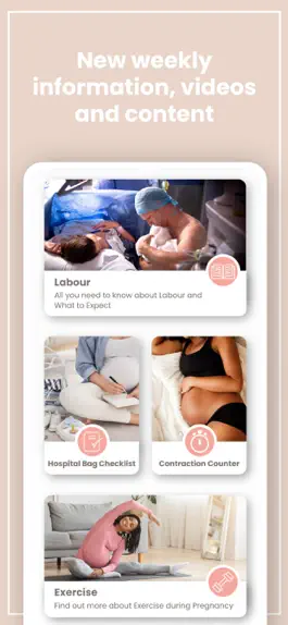 Game screenshot My Pregnancy Journey apk