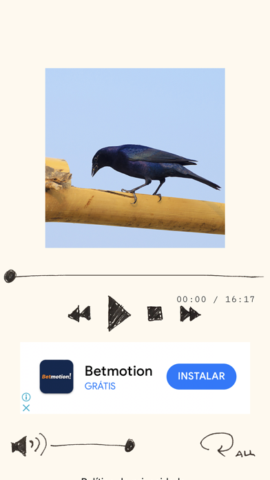 Cantos dos Pássaros Br Screenshot