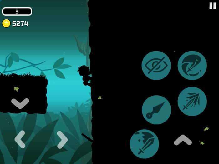 Ninja Playground Dark Shadows