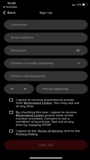 Barenaked Bytes screenshot 2