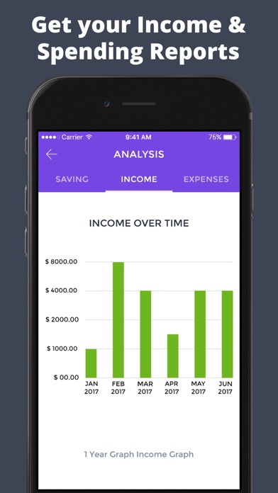 Budget Planner - Screenshot