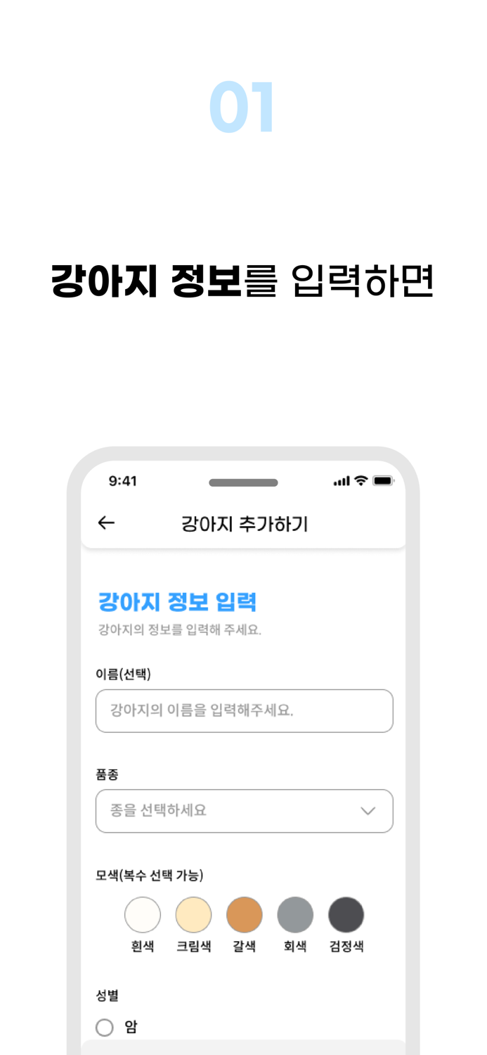 밋펫 파트너스