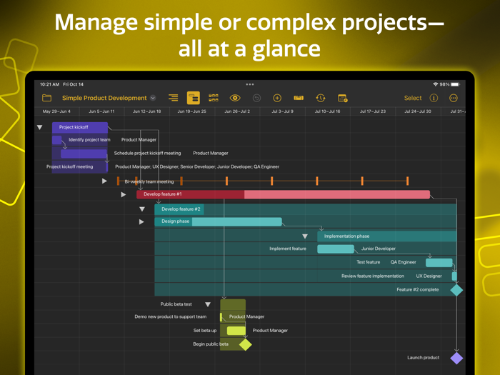 OmniPlan 4 Enterprise