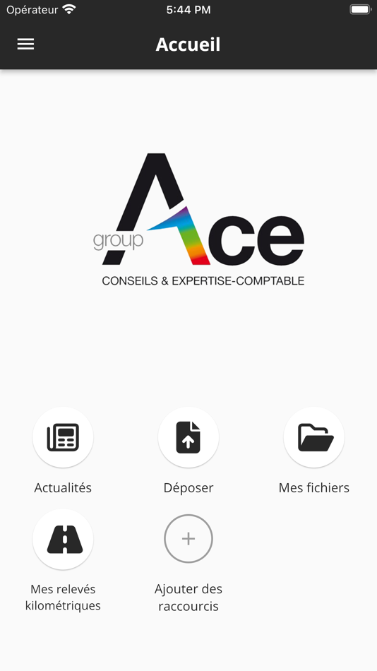 #2. Groupe ACE (iOS) 由: MyCompanyFiles