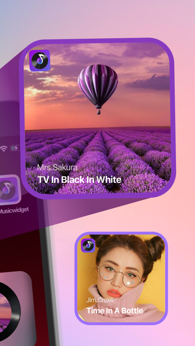 MS Vinyl - Music Widget Screenshot