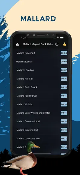 Game screenshot Mallard Magnet - Duck Calls mod apk