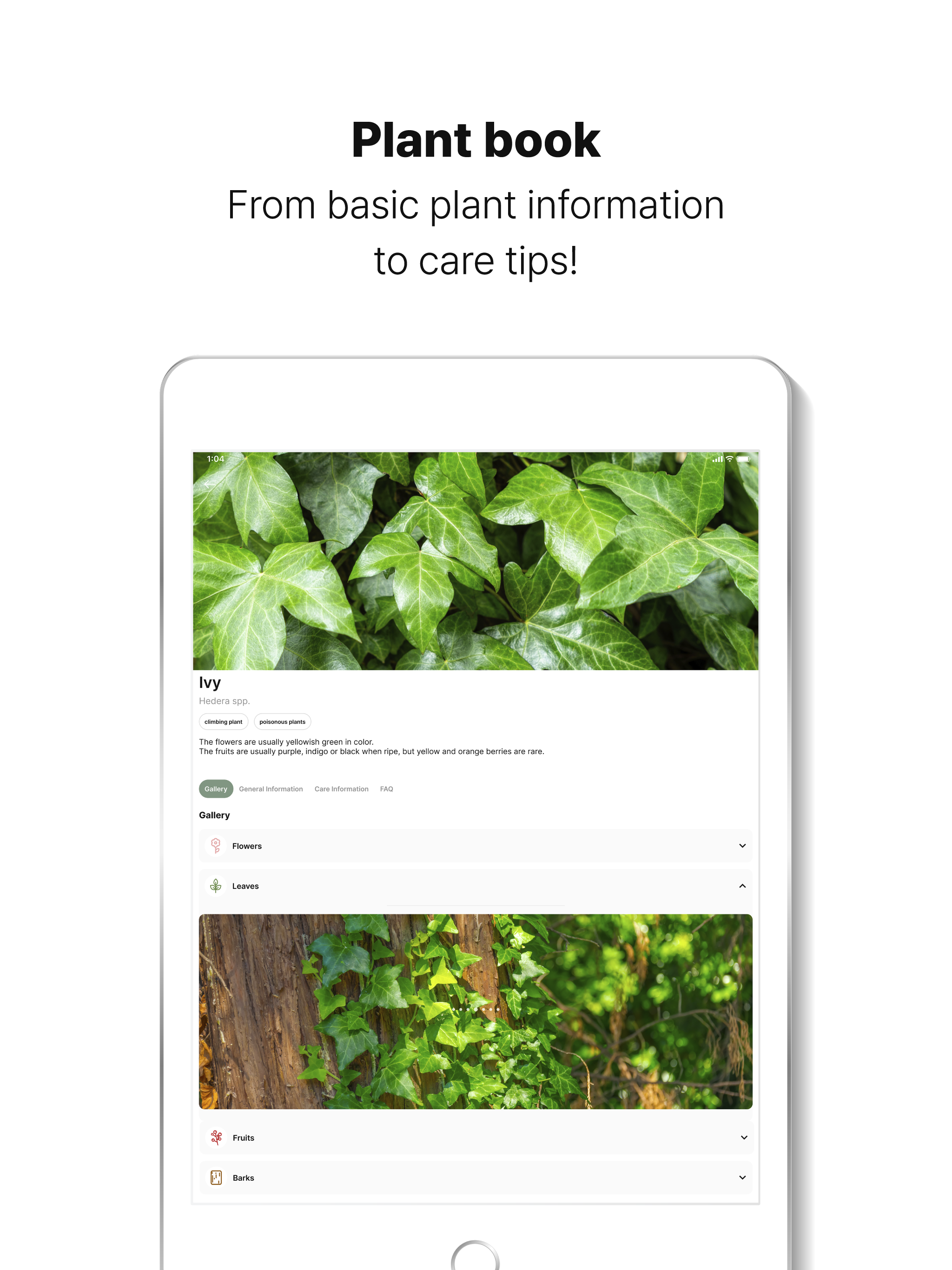 WithPlant