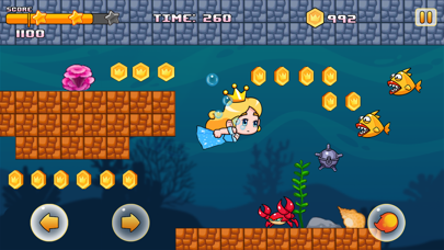 Super Princess Adventure World Screenshot